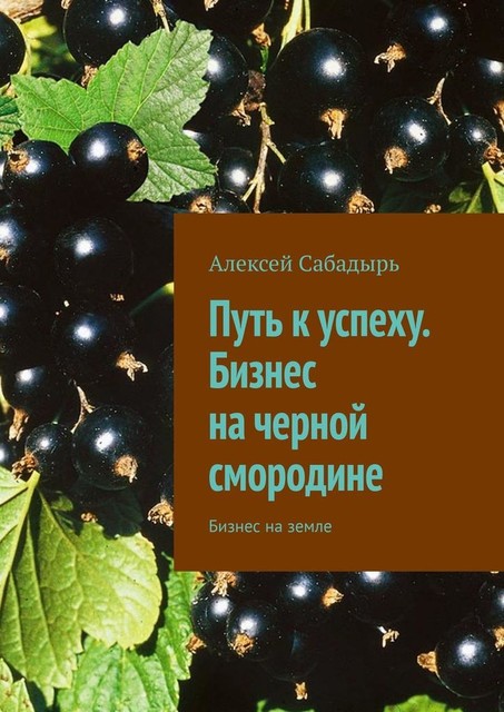 Путь к успеху. Бизнес на черной смородине. Бизнес на земле, Алексей Сабадырь