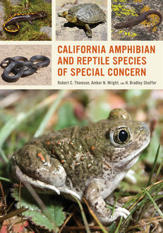 California Amphibian and Reptile Species of Special Concern, Robert C. Thomson