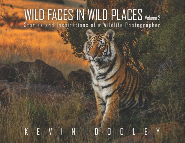 Wild Faces in Wild Places Volume 2, Kevin Dooley