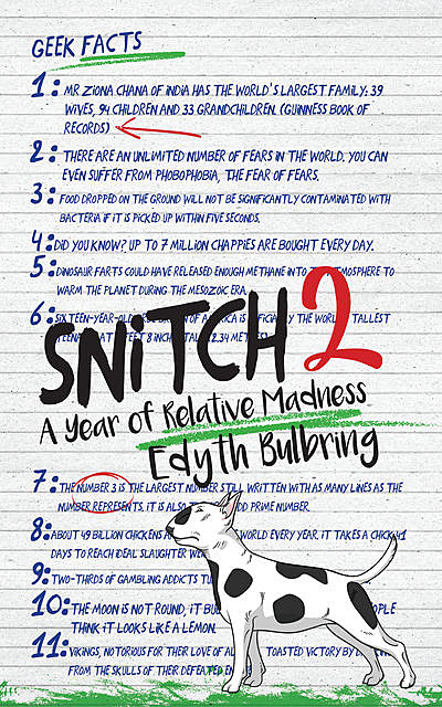 Snitch 2, Edyth Bulbring