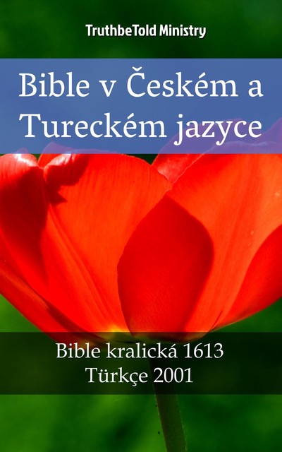 Bible v Českém a Tureckém jazyce, Joern Andre Halseth