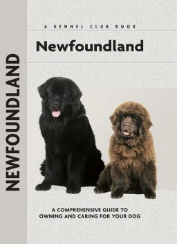 Newfoundland, Angela Barlowe