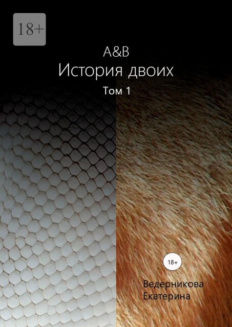 A&B. История двоих. Том 1, Екатерина Ведерникова