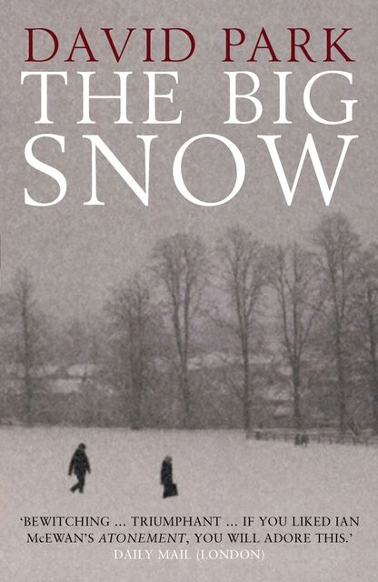 The Big Snow, David Park