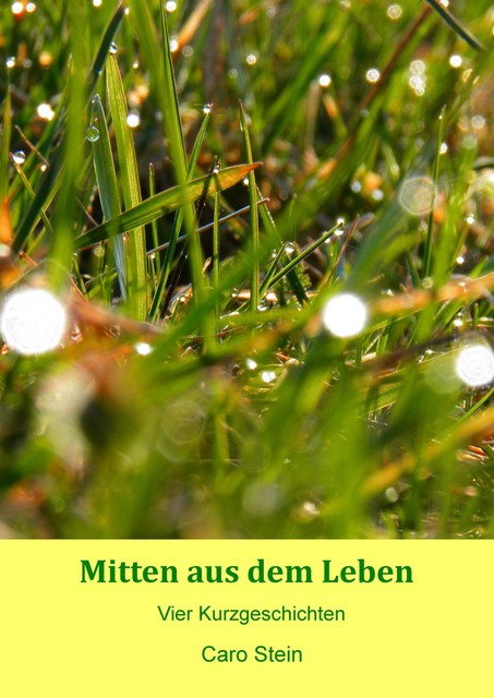 Mitten aus dem Leben, Caro Stein