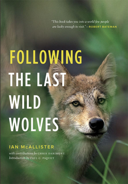 Following the Last Wild Wolves, Ian McAllister