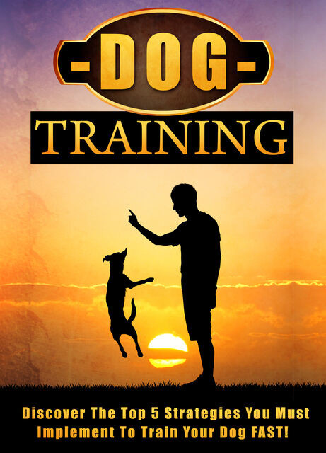 Dog Training Discover The Top 5 Strategies You Must Implement To Train Your Dog FAST, Old Natural Ways