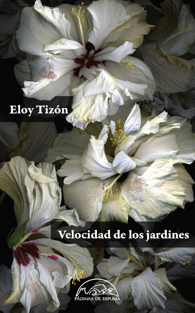 Velocidad de los jardines, Eloy Tizón