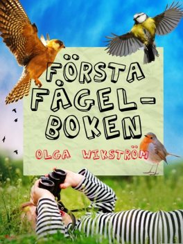 Första fågelboken, Olga Wikström