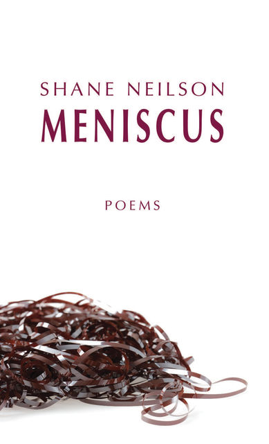 Meniscus, Shane Neilson