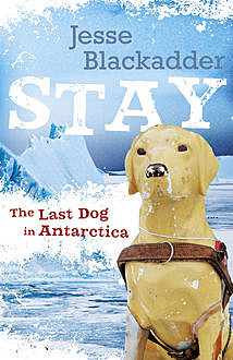 Stay:The Last Dog in Antarctica, Jesse Blackadder