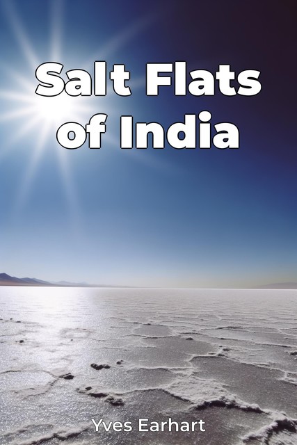 Salt Flats of India, Yves Earhart