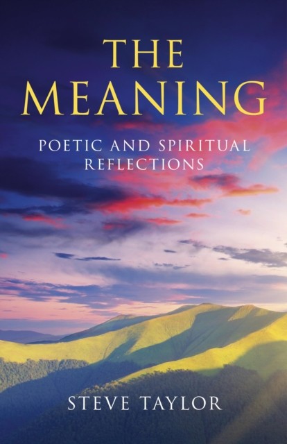Meaning, Steve Taylor
