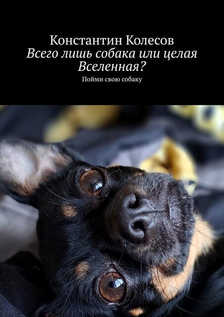 Всего лишь собака или целая Вселенная?. Пойми свою собаку, Константин Колесов