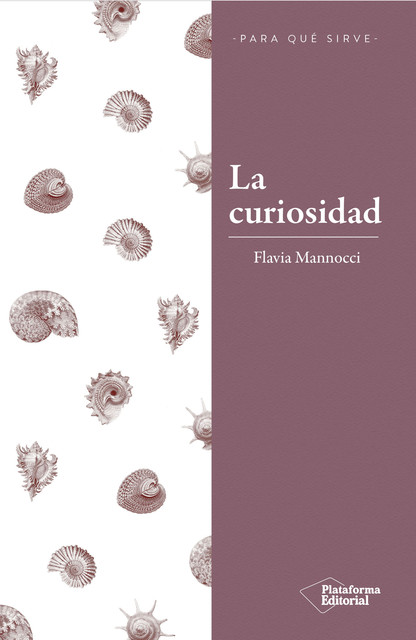 La curiosidad, Flavia Mannocci