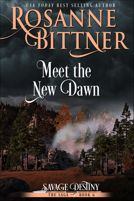 Meet the New Dawn, Rosanne Bittner