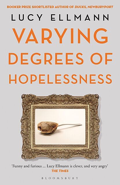 Varying Degrees of Hopelessness, Lucy Ellmann