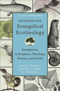 Introducing Evangelical Ecotheology, Daniel L. Brunner