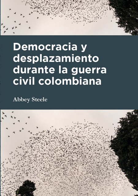 Democracia y desplazamiento durante la guerra civil colombiana, Abbey Steele