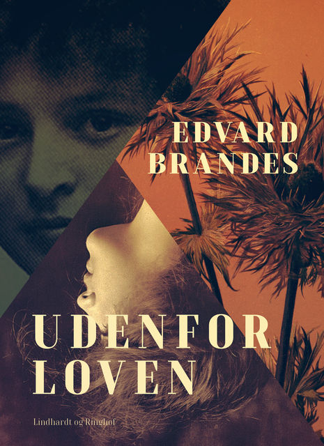 Udenfor loven, Edvard Brandes