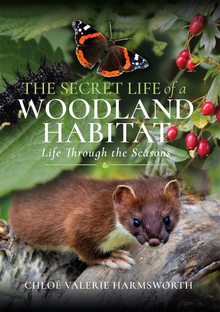 The Secret Life of a Woodland Habitat, Chloé Valerie Harmsworth