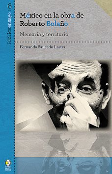 México en la obra de Roberto Bolaño, Fernando Saucedo Lastra