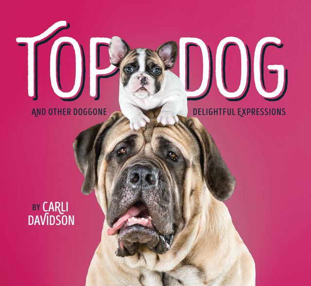Top Dog, Carli Davidson