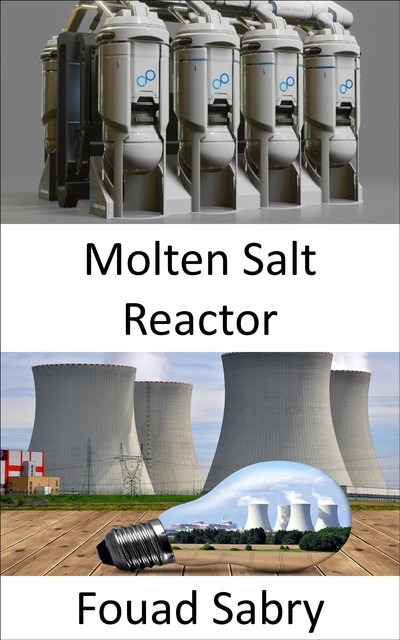 Molten Salt Reactor, Fouad Sabry
