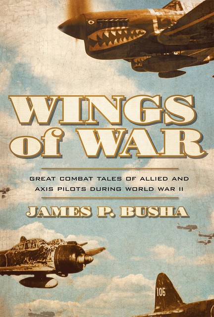 Wings of War, James P. Busha