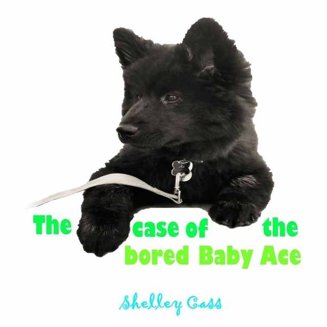 The Case of the Bored Baby Ace, Shelley Cass