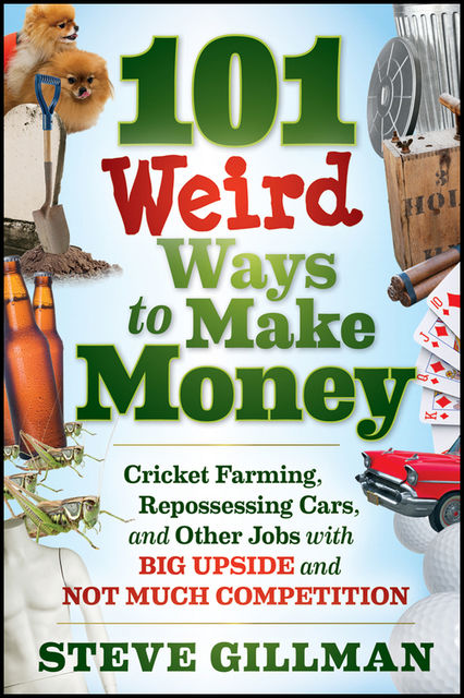 101 Weird Ways to Make Money, Steve Gillman