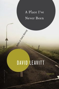 A Place I've Never Been, David Leavitt