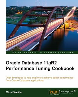 Oracle Database 11g R2 Performance Tuning Cookbook, Ciro Fiorillo