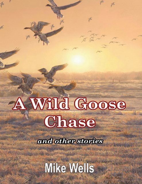 A Wild Goose Chase: And Other Stories, Mike Wells