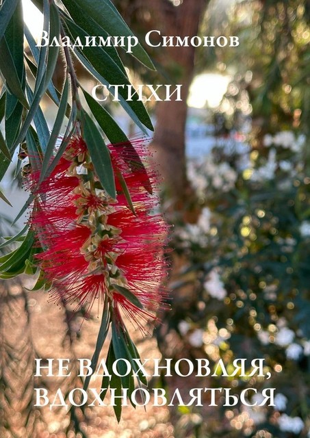 Не вдохновляя, вдохновляться, Владимир Симонов