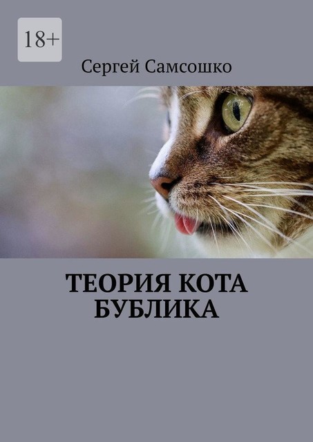 Теория кота Бублика, Сергей Самсошко