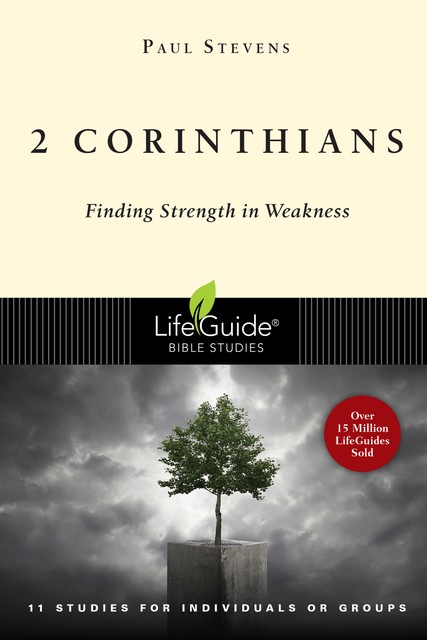 2 Corinthians, Paul Stevens