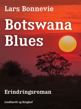 Botswana blues, Lars Bonnevie