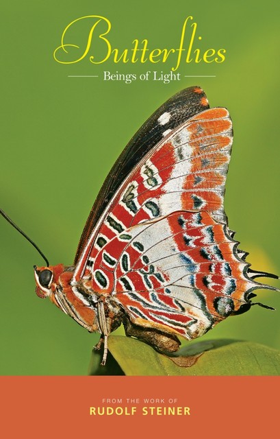 Butterflies, Rudolf Steiner
