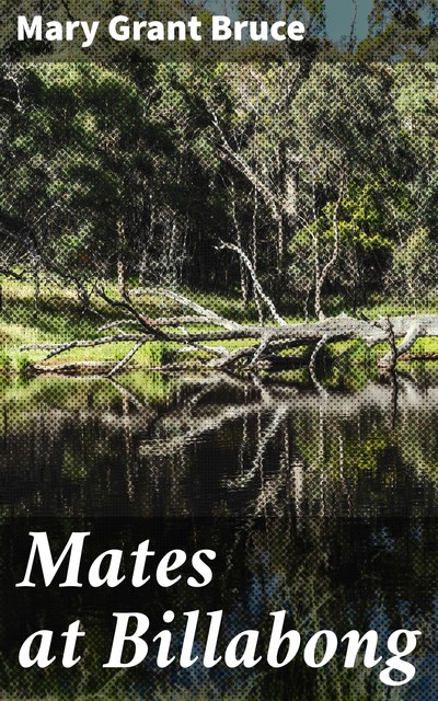 Mates at Billabong, Mary Grant Bruce