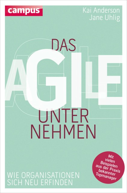 Das agile Unternehmen, Kai Anderson, Jane Uhlig