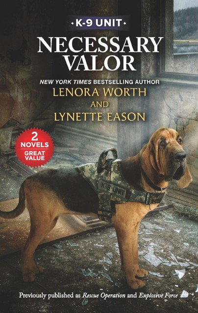 Necessary Valor, Lenora Worth, Lynette Eason