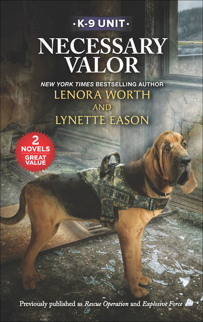 Necessary Valor, Lenora Worth, Lynette Eason