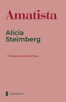 Amatista, Alicia Steimberg