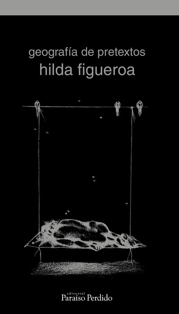 Geografía de pretextos, Hilda Figueroa