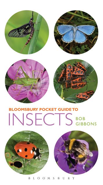 Pocket Guide to Insects, Bob Gibbons