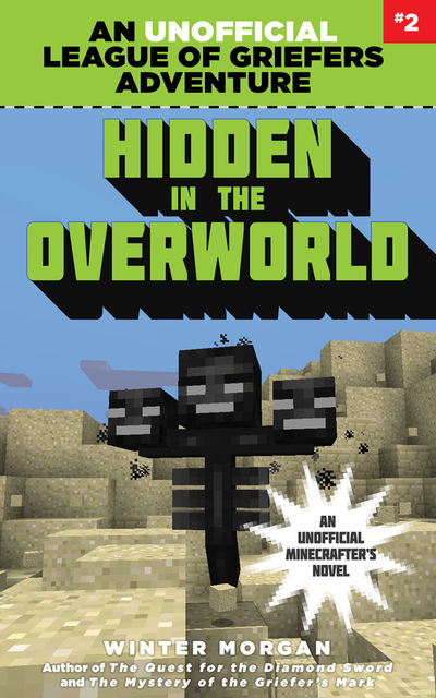 Hidden in the Overworld, Winter Morgan