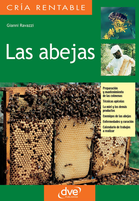 Las abejas, Gianni Ravazzi