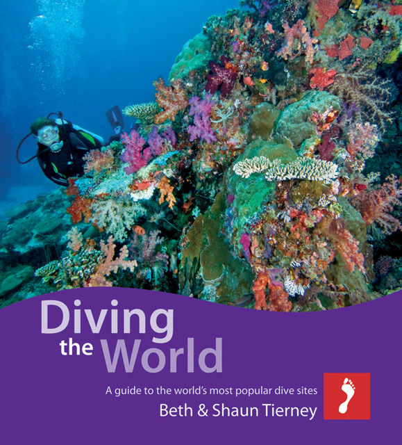 Diving the World, Beth Tierney, Shaun Tierney