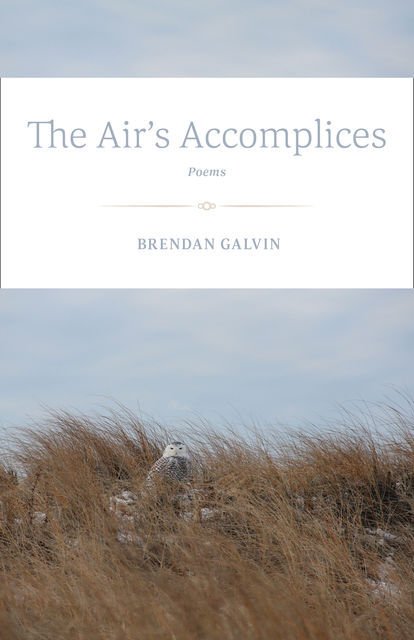 The Air's Accomplices, Brendan Galvin